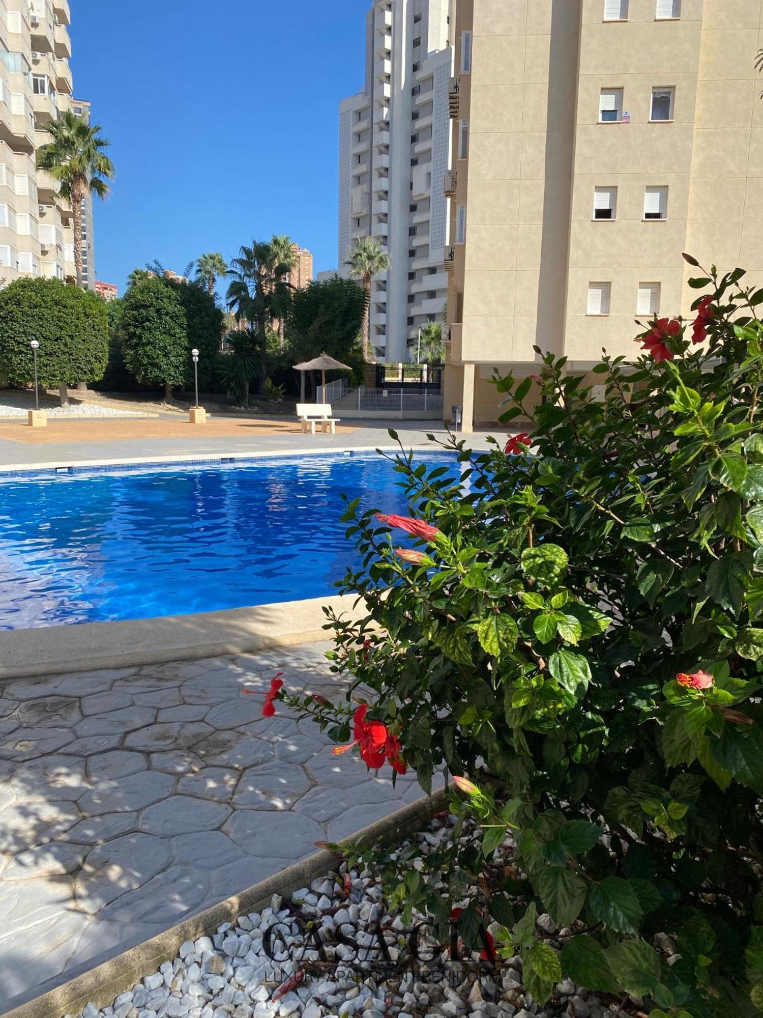 Casa Gia L Luxury Apartment Benidorm Dış mekan fotoğraf